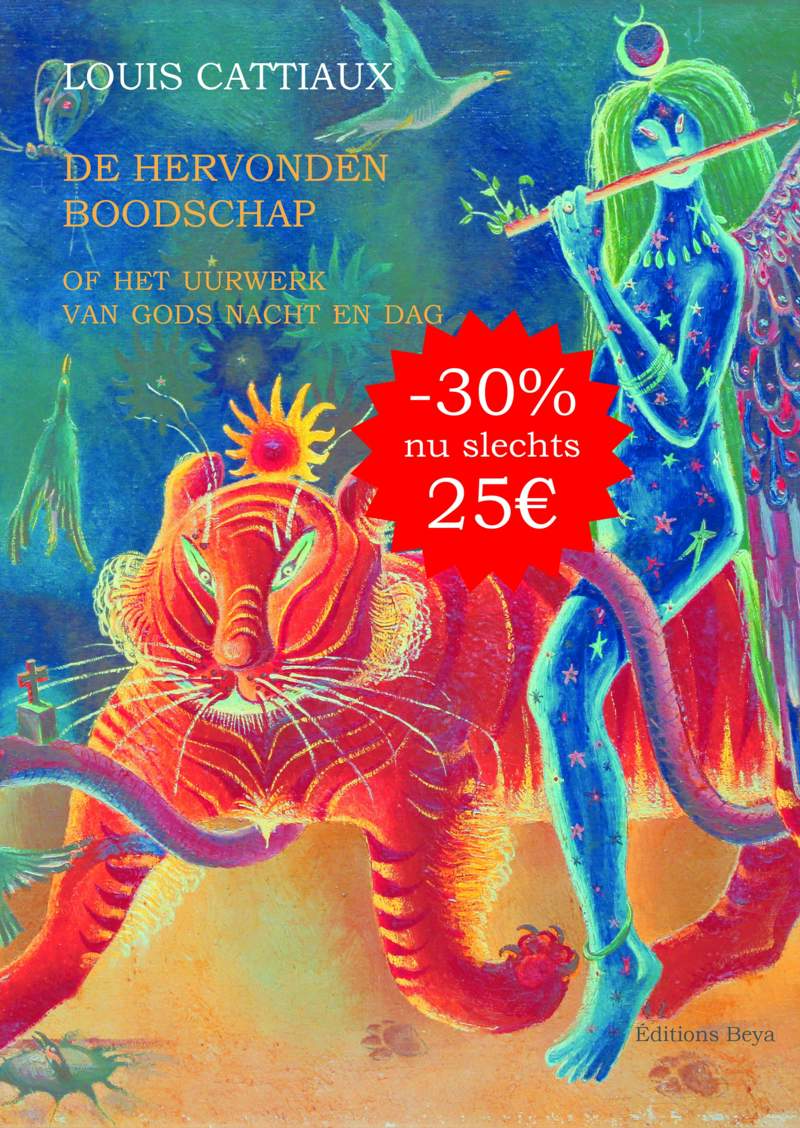DE HERVONDEN BOODSCHAP 